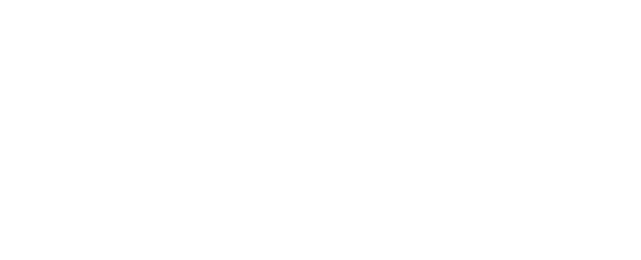 The LEO First Light Diamond