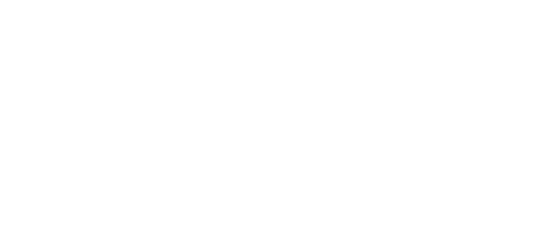 img-home-the-leo-ideal-cut-diamond